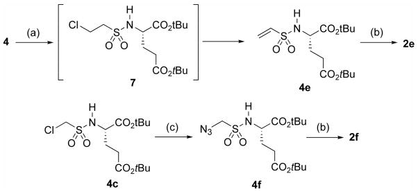 Scheme 2