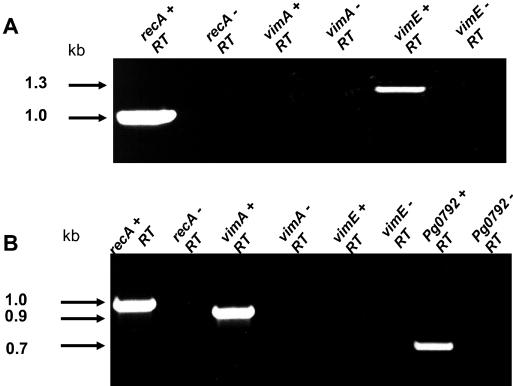 FIG. 11.