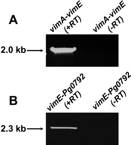 FIG. 10.