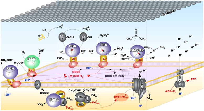 Figure 5