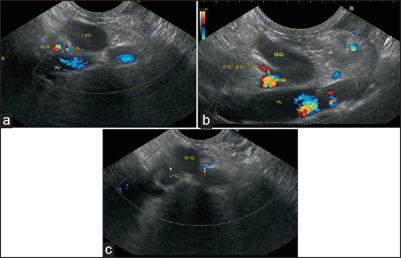 Figure 10