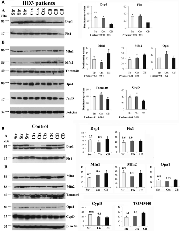 Figure 2.