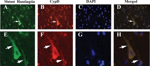 Figure 10.