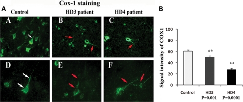 Figure 6.