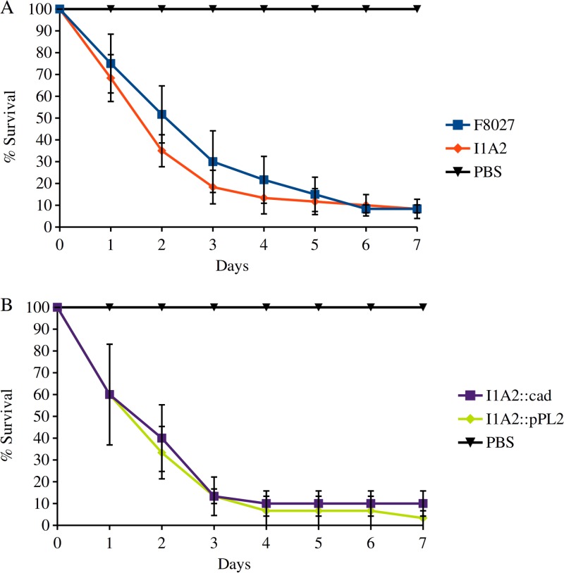 FIG 7