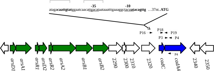 FIG 2