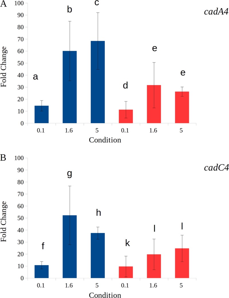 FIG 6