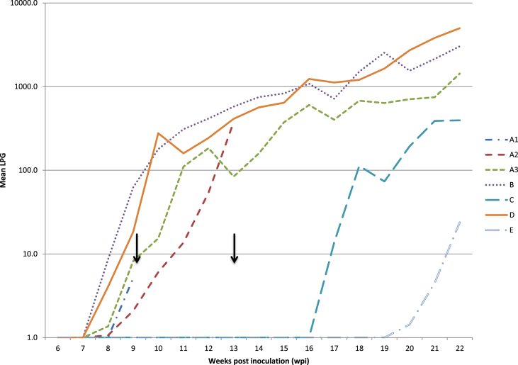 Fig. 4