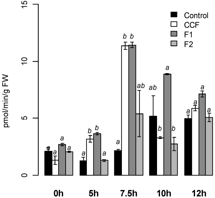 Figure 5