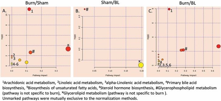 Figure 11.