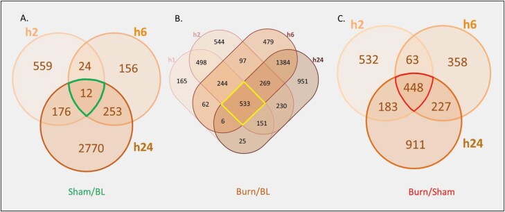 Figure 10.