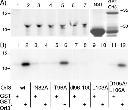 FIG. 8.