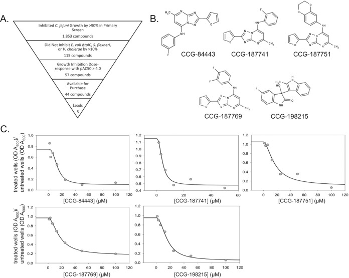 FIG 2