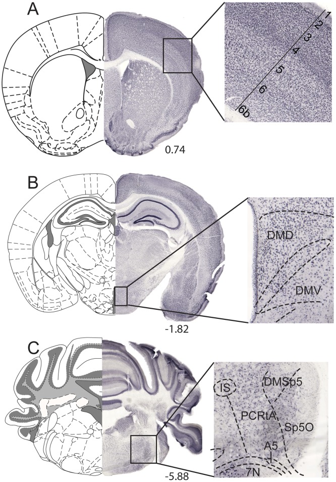 Fig 5