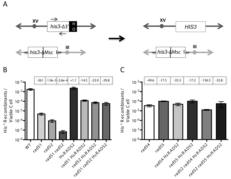 Figure 3.