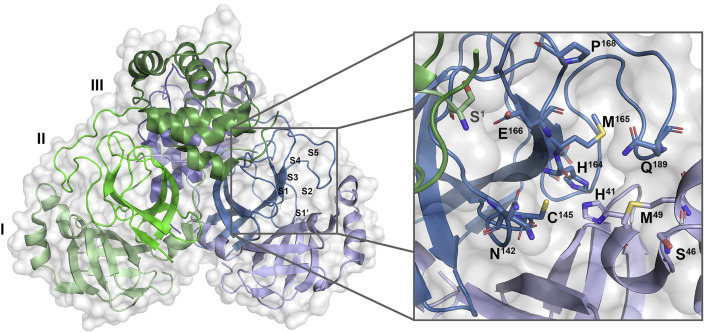 Figure 1