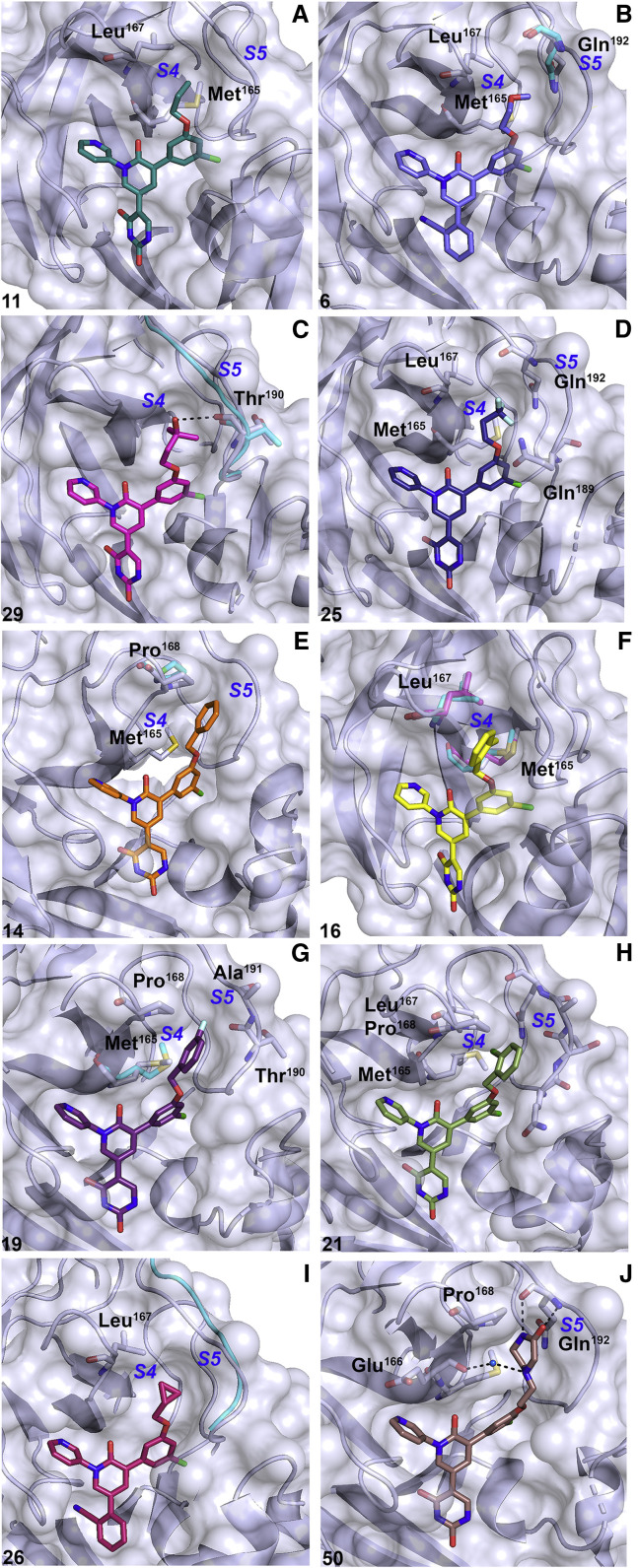 Figure 4