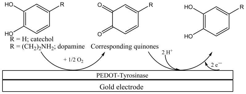 Scheme 1.