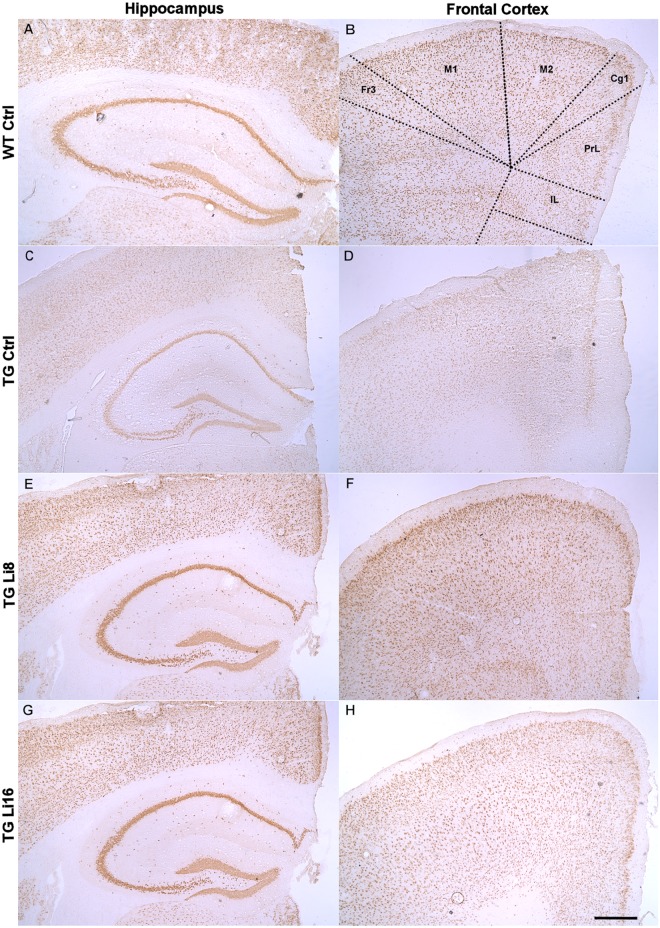 Fig 8