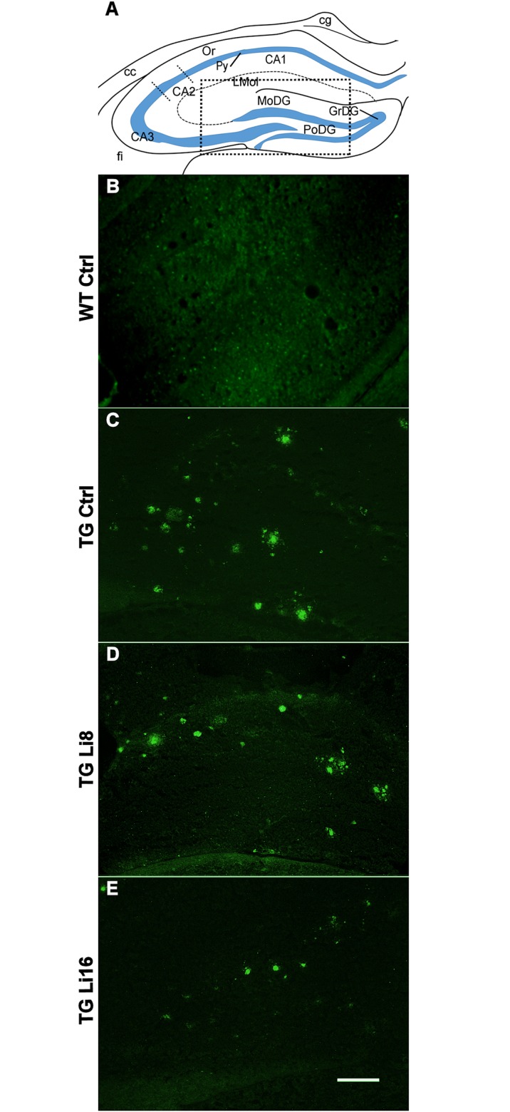 Fig 11