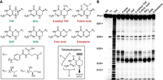 FIGURE 4.