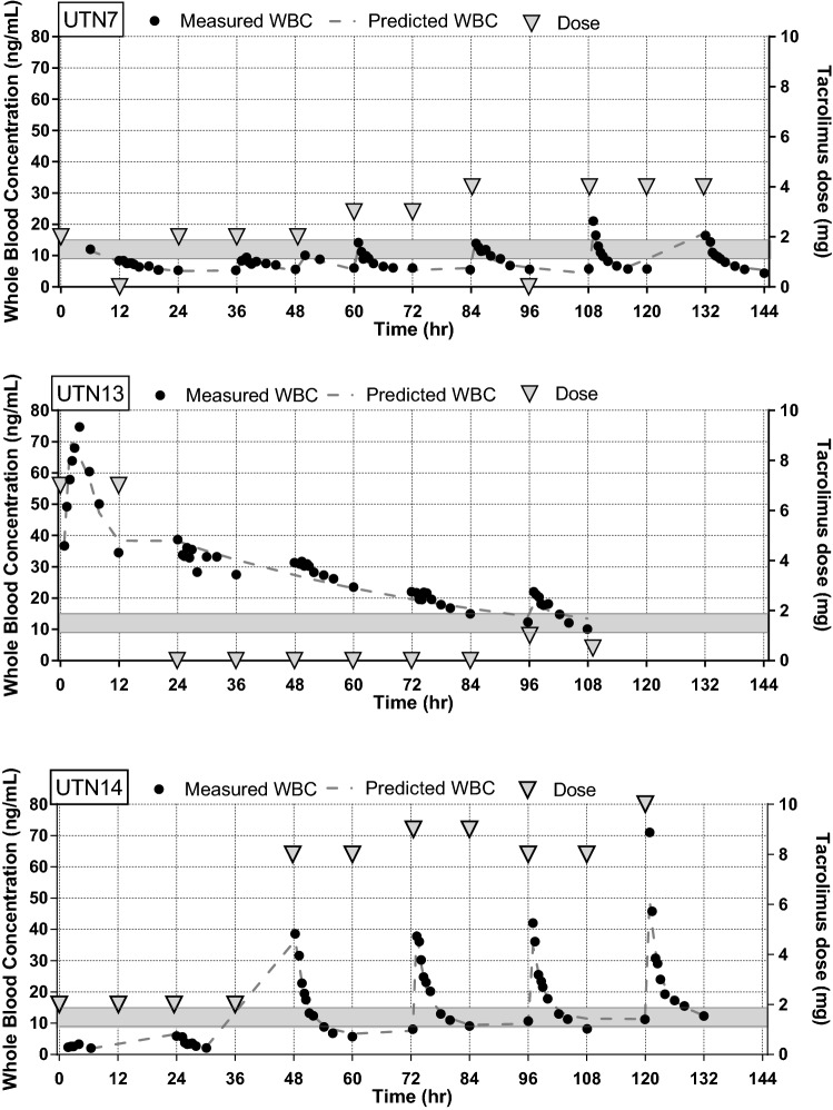 Fig. 2