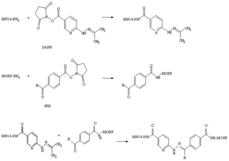 Scheme 1