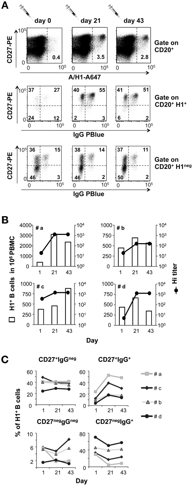 Figure 6