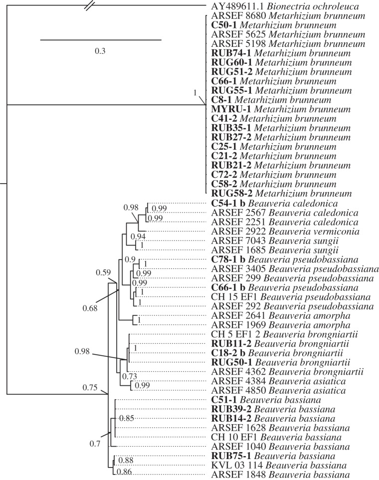 Figure 2.