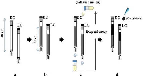 Fig. 4