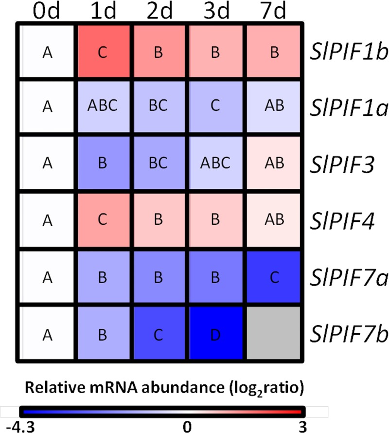 Fig 5