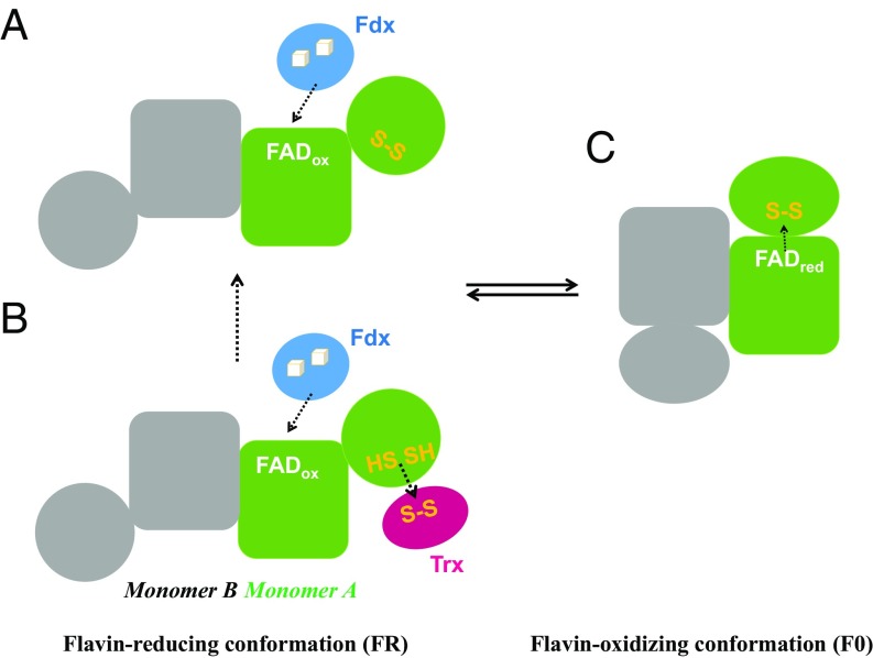 Fig. 4.