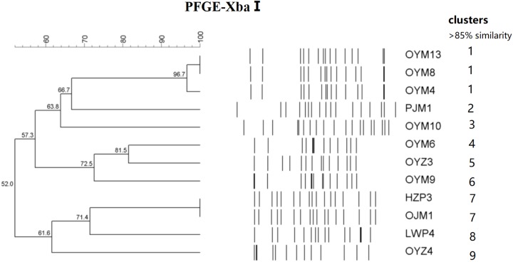 FIGURE 1