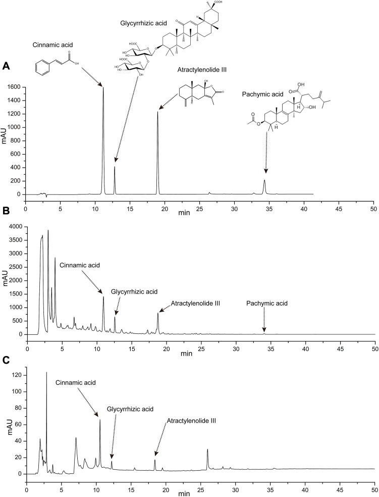 FIGURE 1