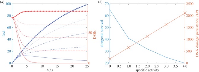 Figure 8.