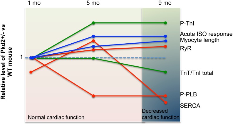 Fig 7