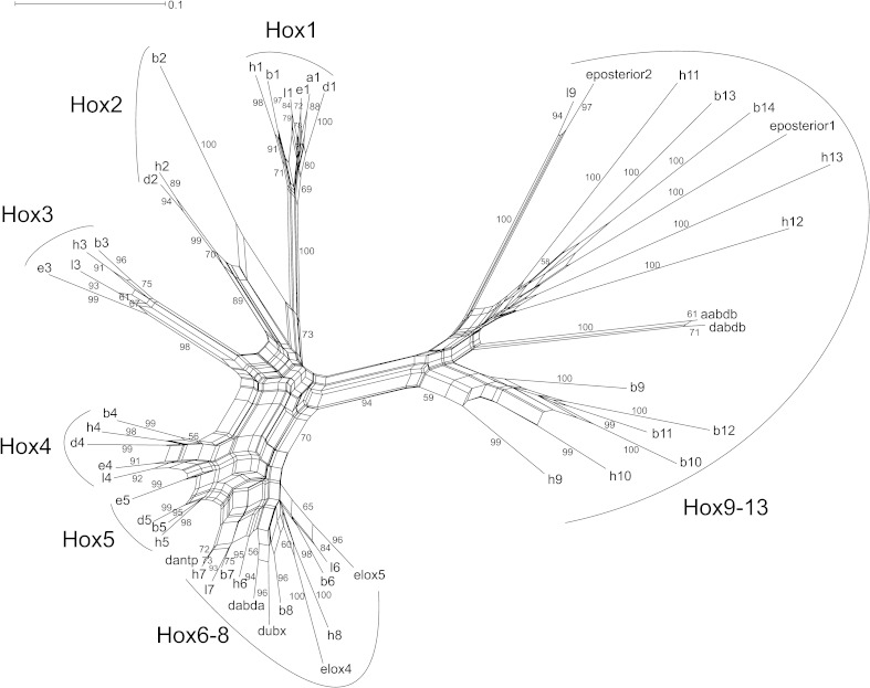 FIG. 11.—