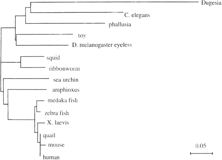 FIG. 6.—