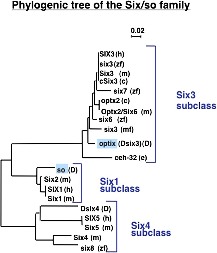 FIG. 4.—