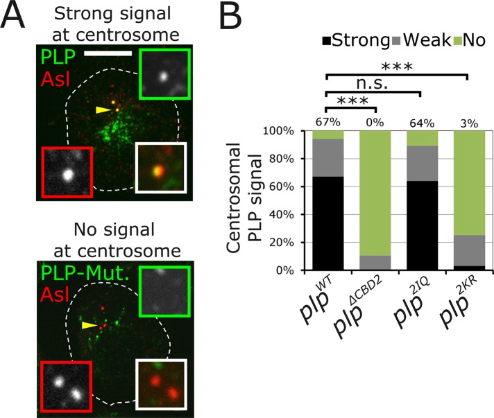 FIGURE 3: