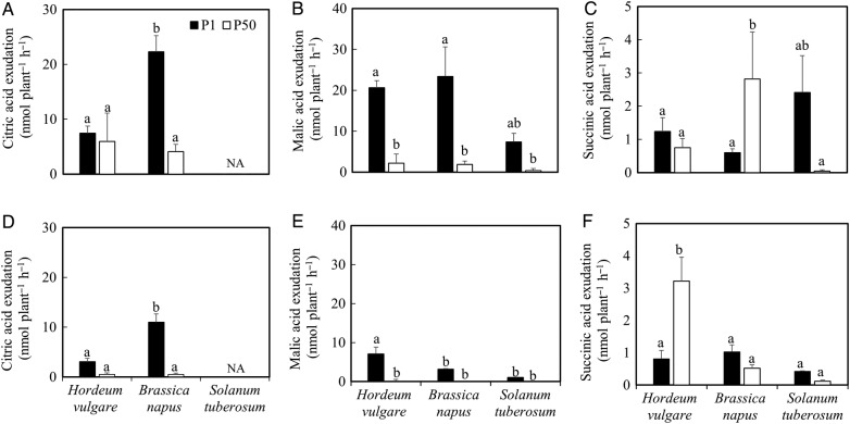 Figure 4.