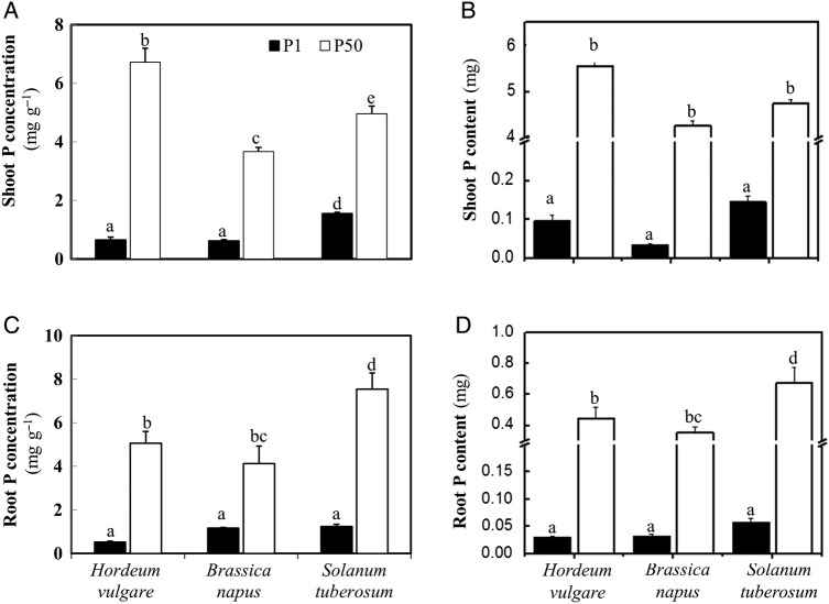 Figure 5.