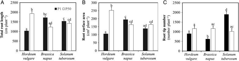 Figure 3.