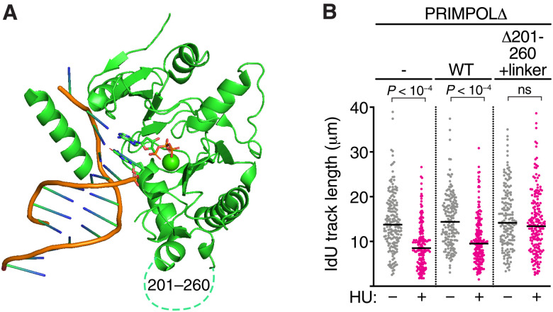 Fig. 9.