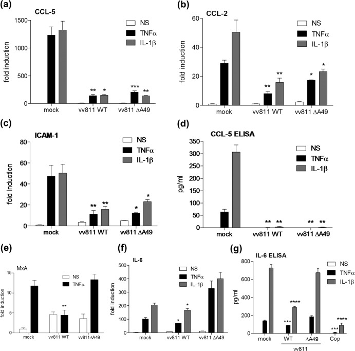 FIG 6