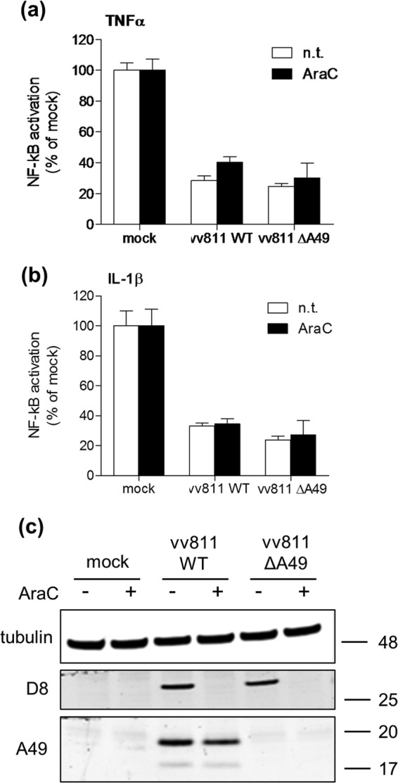 FIG 7