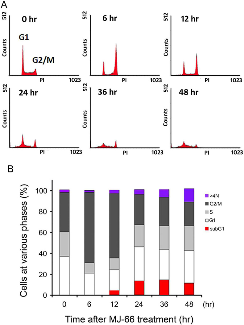 Fig. 2