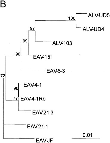 FIG. 5.