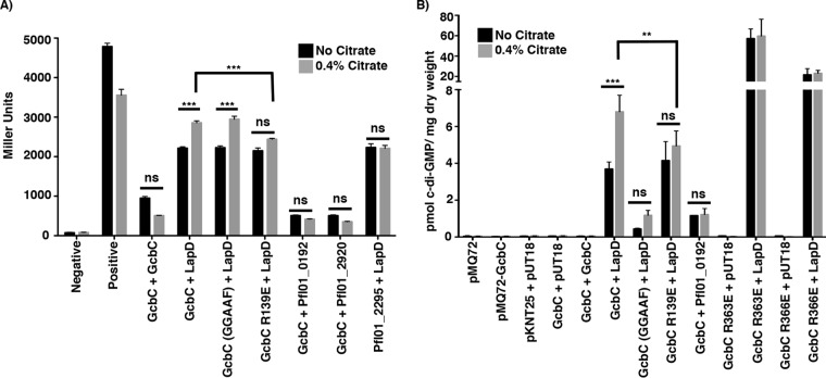 FIG 3 