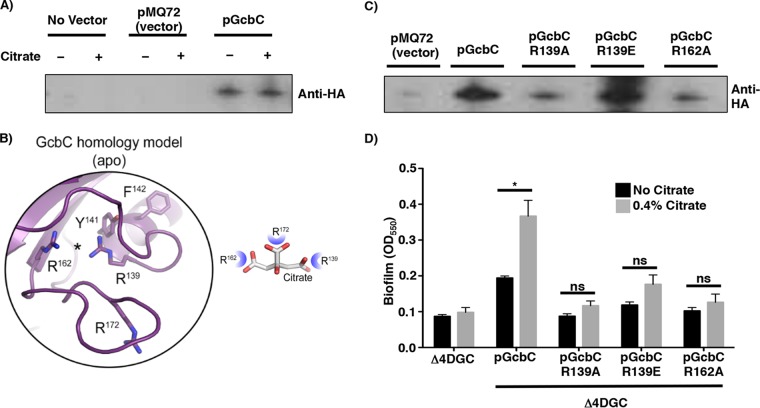 FIG 2 